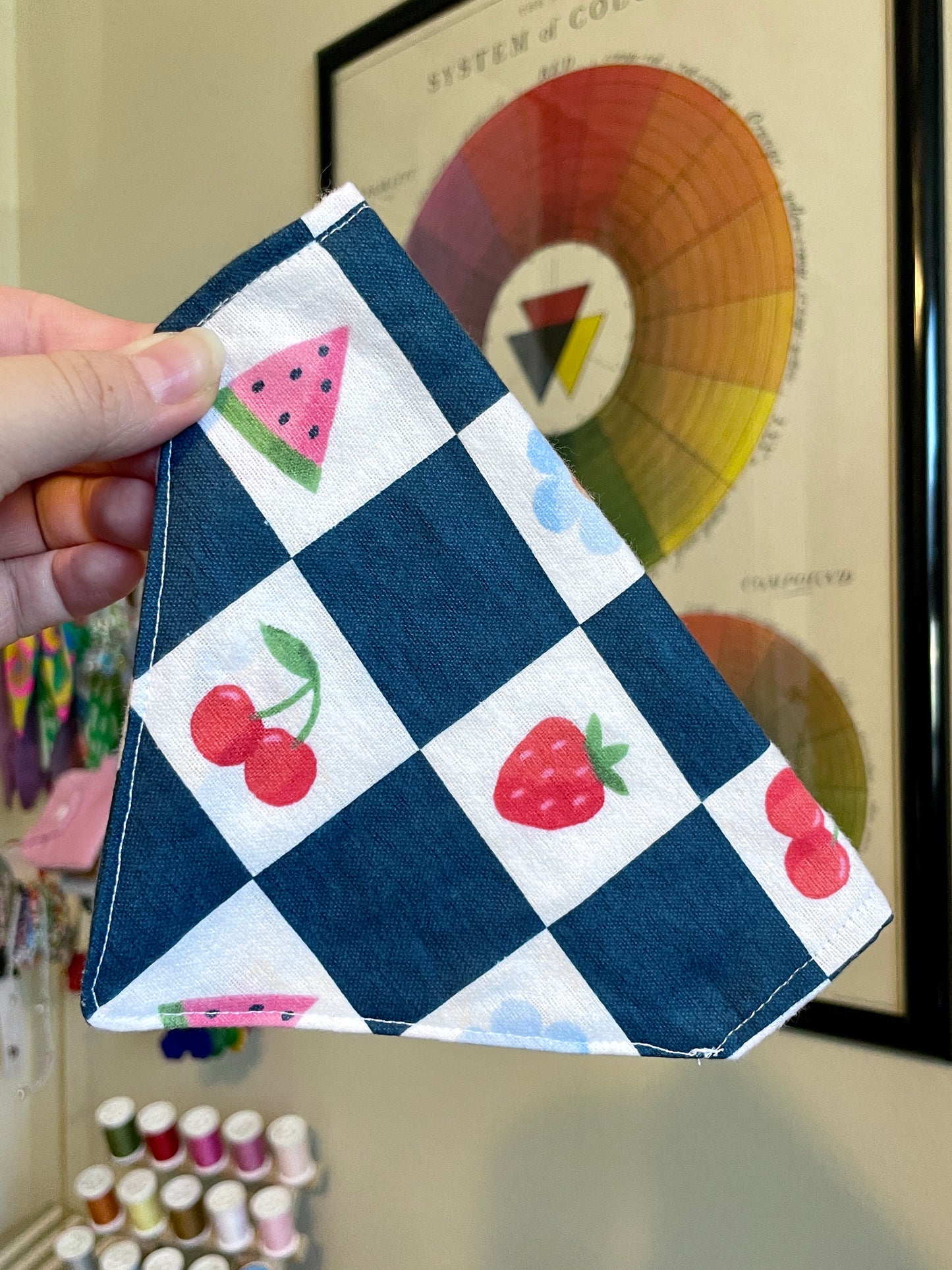 Checkered Fruit Pet Bandana